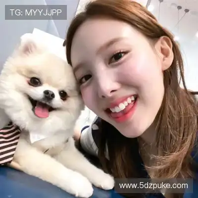 陈磊东